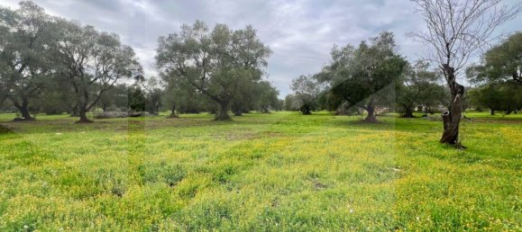 4 rooms House in Ceglie Messapica, Italy No. 17533 9