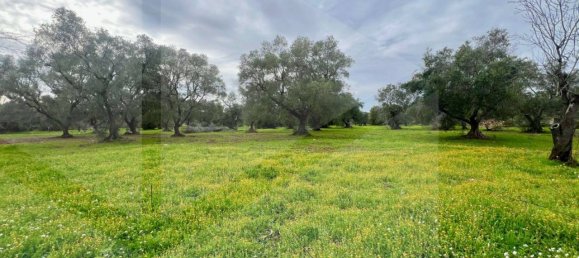 4 rooms House in Ceglie Messapica, Italy No. 17533 10