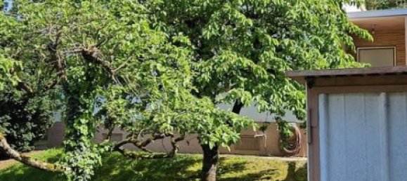 2 Schlafzimmer Grundstück in Mainz, Germany, Nr. 11071 9