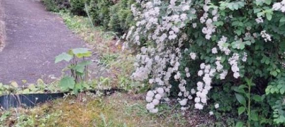 2 Schlafzimmer Grundstück in Mainz, Germany, Nr. 11071 19
