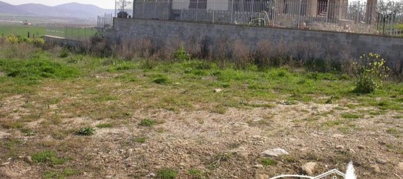  Land in Paciano, Italy No. 321335 6