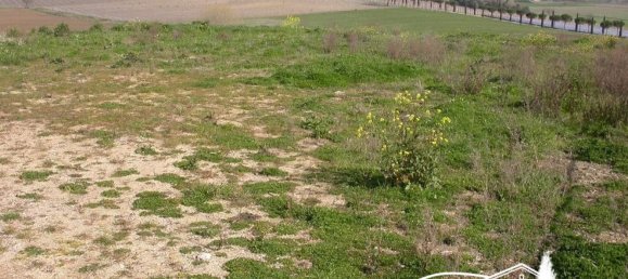  Land in Paciano, Italy No. 321335 2