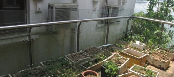 4 bedrooms Villa in Tay Ho, Vietnam No. 4355 13