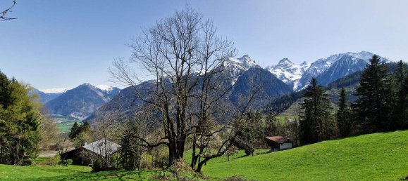 Земельный участок в Бюрзерберг, Австрия № 212641 2