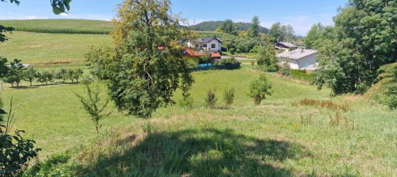 3109m² Land in Volkermarkt, Austria No. 193127 5