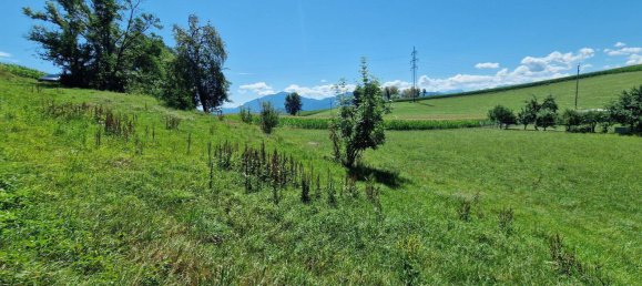 3109m² Land in Volkermarkt, Austria No. 193127 10