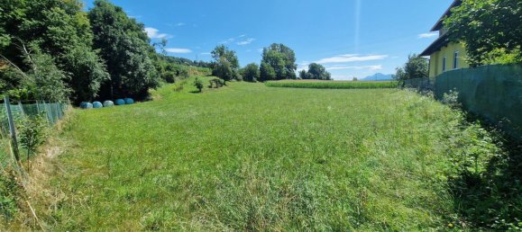 3109m² Land in Volkermarkt, Austria No. 193127 2