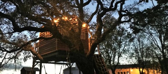 1550m² Hotel in Almodovar, Portugal No. 56452 26