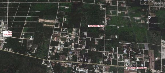 Grundstück in Merida, Mexico, Nr. 104142 2