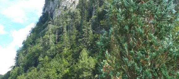 قطعة أرض في Traunstein, Germany رقم 349981 3