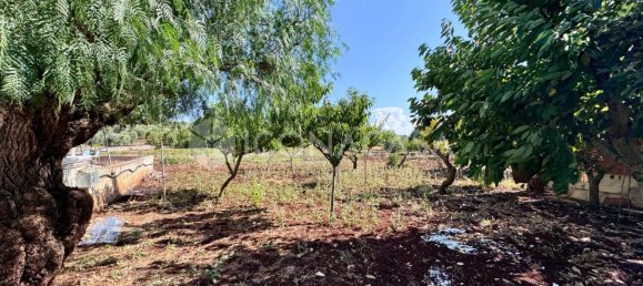 Villa de 3 habitaciónes en Ostuni, Italy No. 305368 20