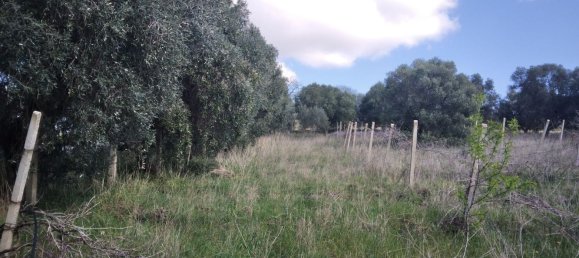 Terreno em Barbarano Romano, Italy 6800 m² N.º 25620 2