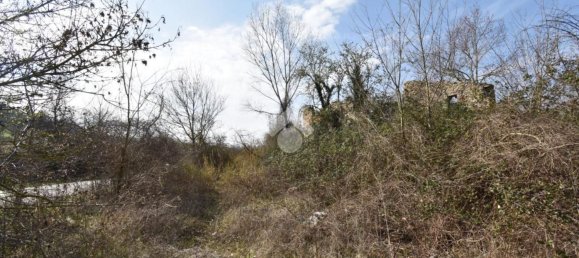 6 rooms House in Coriano, Italy No. 168136 3