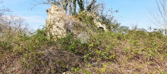 6 rooms House in Coriano, Italy No. 168136 5