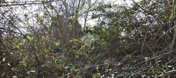 6 rooms House in Coriano, Italy No. 168136 23