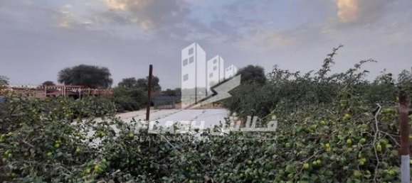 18581m² Land in Ras Al Khaimah, UAE No. 107357 6