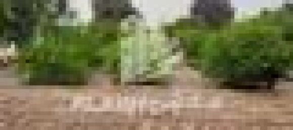 18581m² Land in Ras Al Khaimah, UAE No. 107357 12