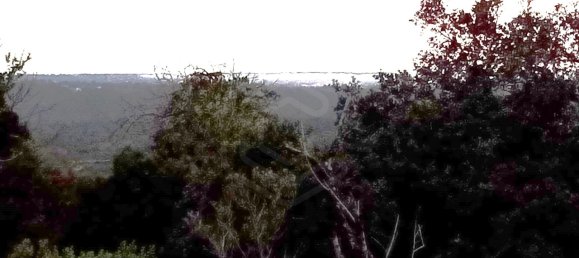 Grundstück in Loule, Portugal, Nr. 60005 5