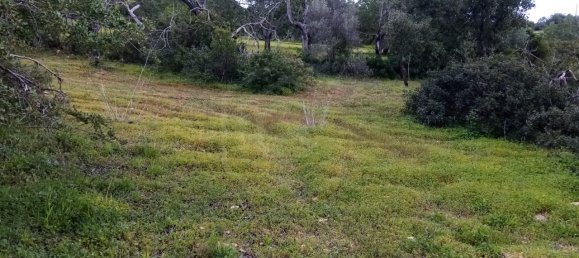 Grundstück in Loule, Portugal, Nr. 60005 11