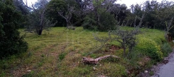 Grundstück in Loule, Portugal, Nr. 60005 2