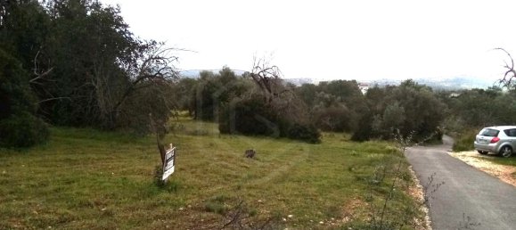 Grundstück in Loule, Portugal, Nr. 60005 3