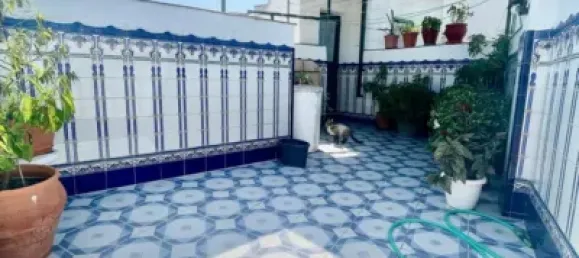 3 غرف نوم منزل في Cordoba, Spain رقم 179860 11