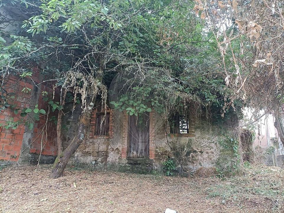 2 bedrooms House in Coimbra, Portugal No. 203031