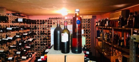 Gewerbliche Immobilie in Ibiza, Spain 477m², Nr. 154415 3