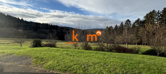 Casa de 5 dormitorios en Anould, France No. 42252 11