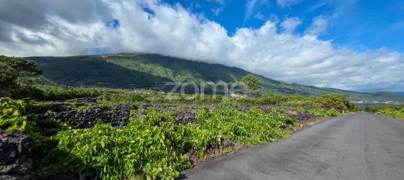 Grundstück in Madalena, Portugal, Nr. 280429 5