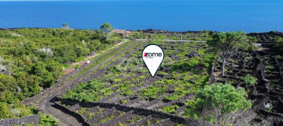 Grundstück in Madalena, Portugal, Nr. 280429 3