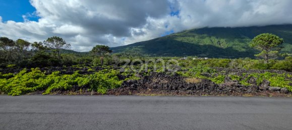 Grundstück in Madalena, Portugal, Nr. 280429 6