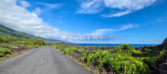 Grundstück in Madalena, Portugal, Nr. 280429 4