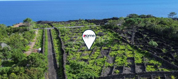 Grundstück in Madalena, Portugal, Nr. 280429 12