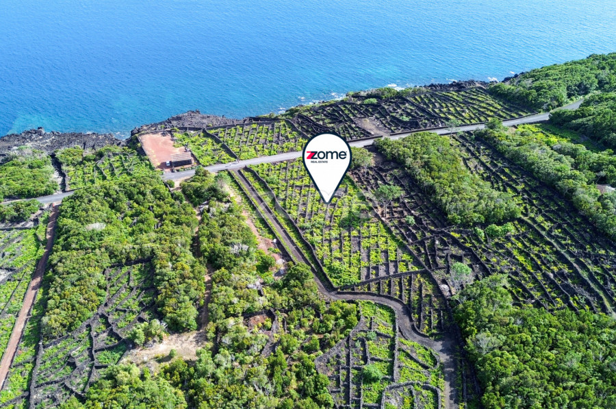  Land in Madalena, Portugal No. 280429