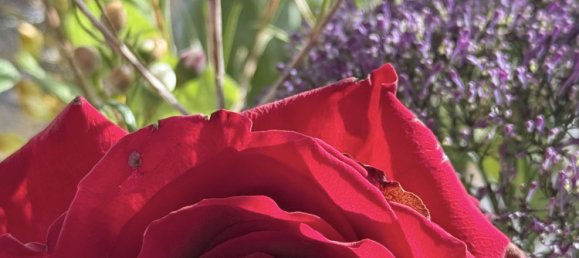 2 chambres Appartement à Hamburg-Nord, Germany No. 371994 36