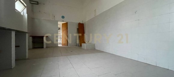 5-Zimmer Gewerbliche Immobilie in Grosseto, Italy, Nr. 39723 10