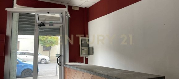 5-Zimmer Gewerbliche Immobilie in Grosseto, Italy, Nr. 39723 2