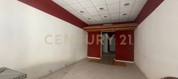 5-Zimmer Gewerbliche Immobilie in Grosseto, Italy, Nr. 39723 5