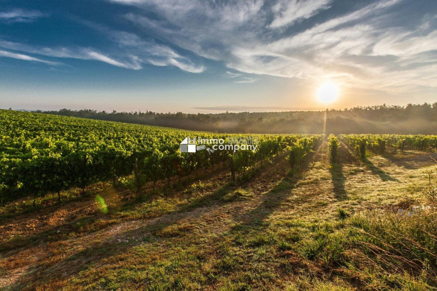  Land in Favoriten, Austria No. 134952