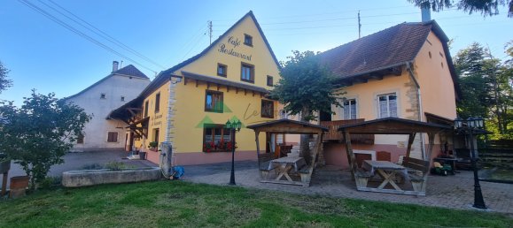 196m² Commercial property in Courtavon, France No. 93168 3