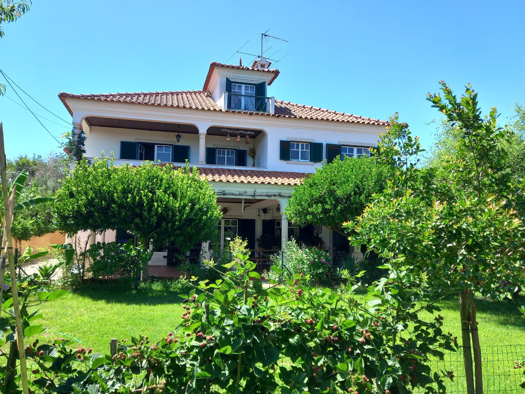 7 bedrooms House in Tomar, Portugal No. 205829