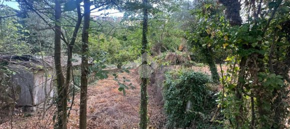 1031m² Land in Capriglia Irpina, Italy No. 297372 12