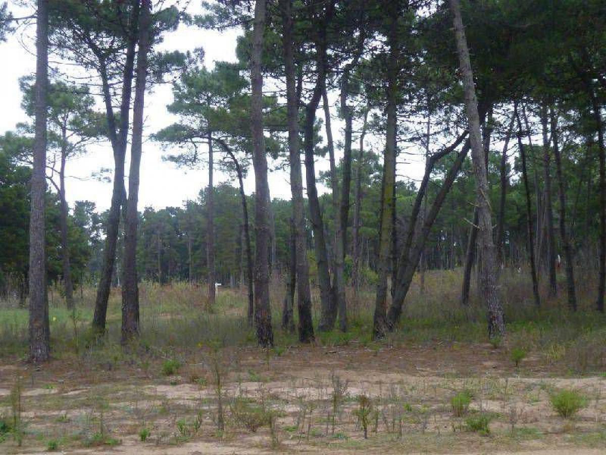  Land in Mar del Plata, Argentina No. 111131