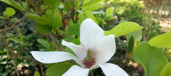 Дом с 8 комнатами в Алессандрия, Италия № 50874 45