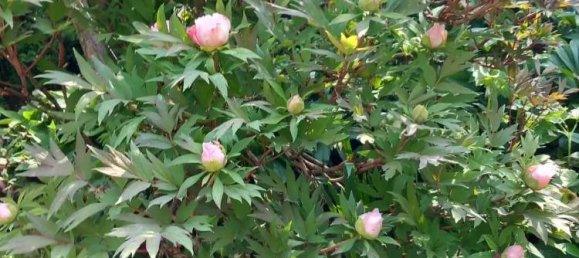 Дом с 8 комнатами в Алессандрия, Италия № 50874 46