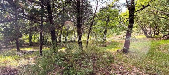 3 bedrooms House in Pietralunga, Italy No. 356551 9