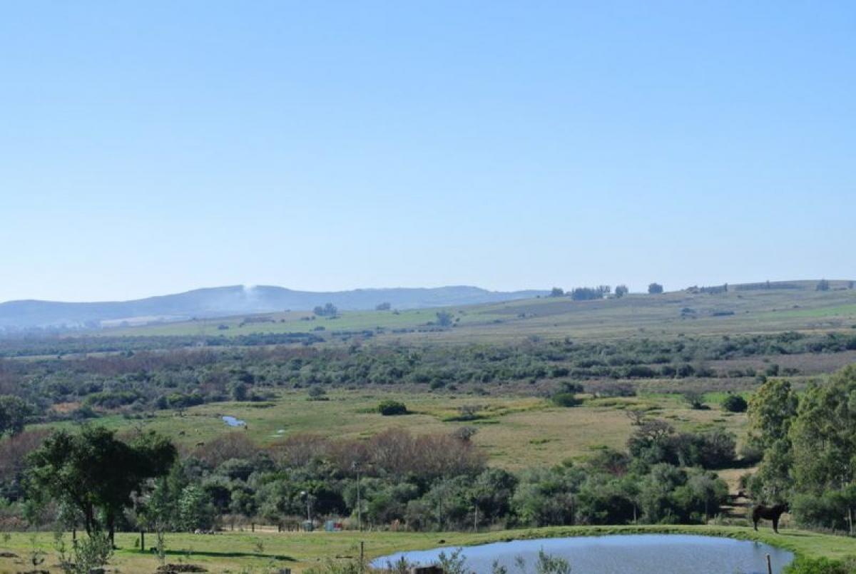  Farm in Maldonado, Uruguay No. 14274