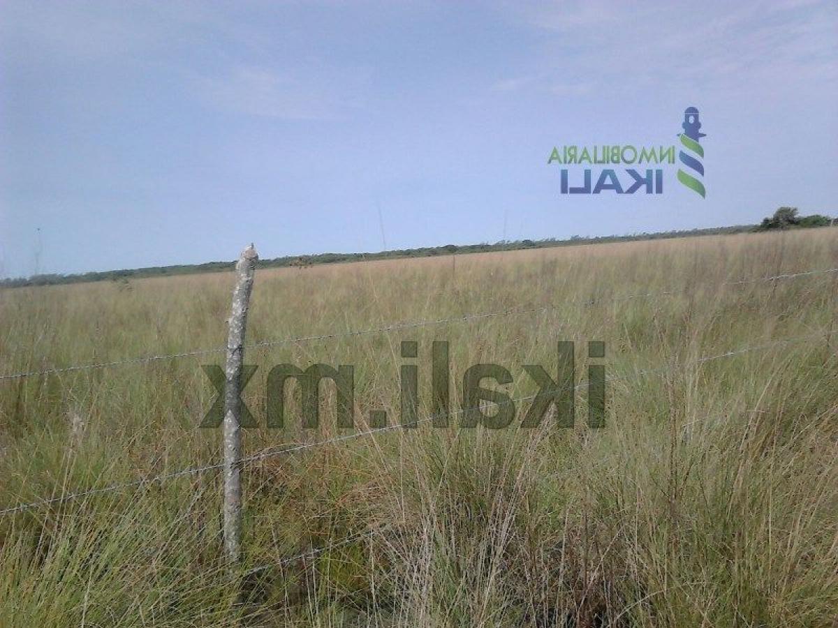  Land in Veracruz, Mexico No. 206996