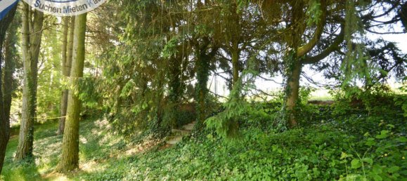 1 bedroom House in Karlstein an der Thaya, Austria No. 146516 24